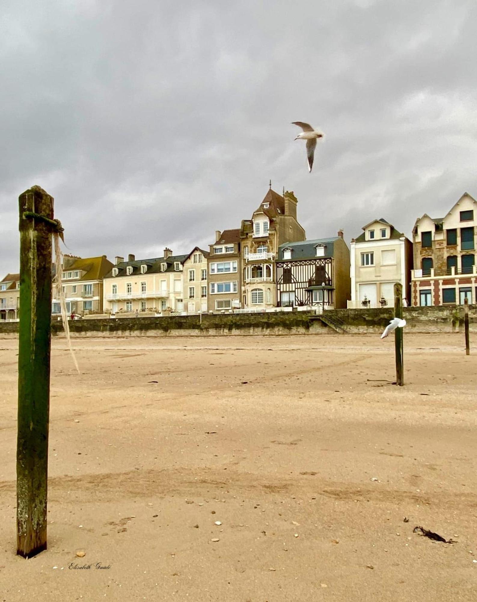 Saint-Aubin-Sur-Mer: Bel Appartement Traversant Екстер'єр фото
